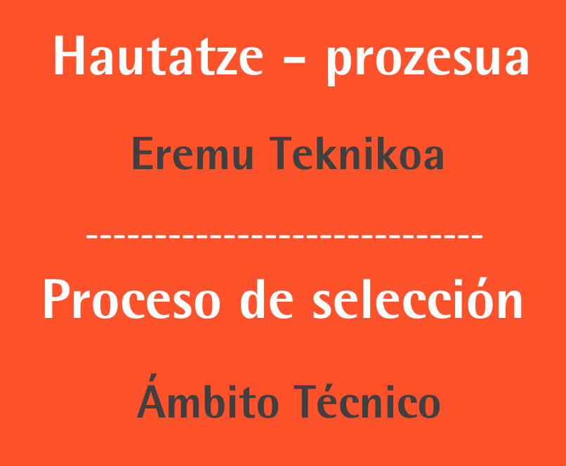 Proceso externo de selección de personal