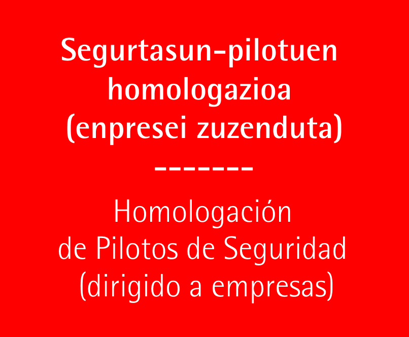 pilotos seguridad